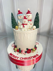 Christmas Cake 9