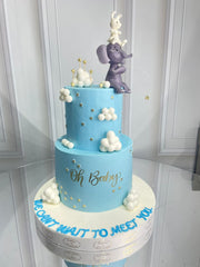 Baby Shower 19