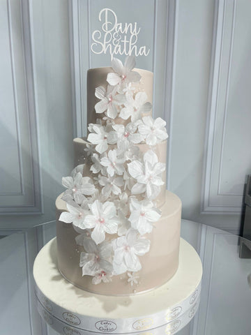 Wedding & Engagement