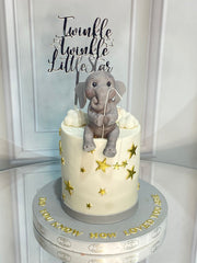 1st Birthday Cake 21