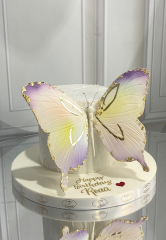 Butterfly Cake 1